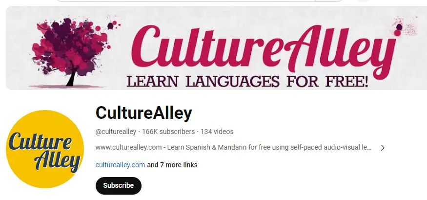 A snapshot from CultureAlley Youtube channel.