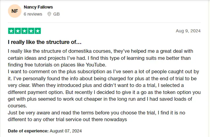 A user's positive review about domestika.