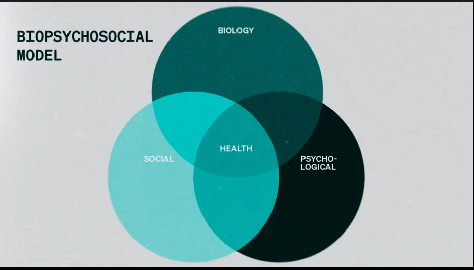 Biopsychosocial Model taught in the magic of menopause masterclass